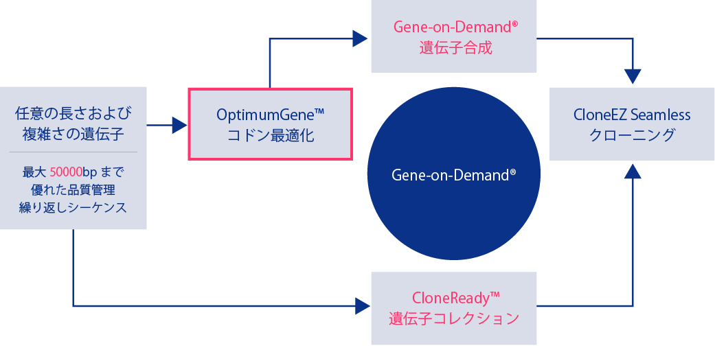 コドン最適化技術図